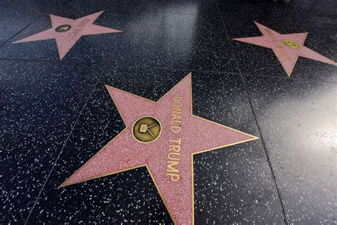 How Many Stars On The Hollywood Walk Of Fame Belong On The Walk Of