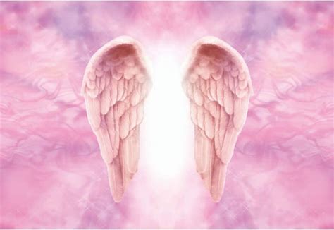 Dorcev Pink Angel Wings Fotografía Telón De Fondo Para