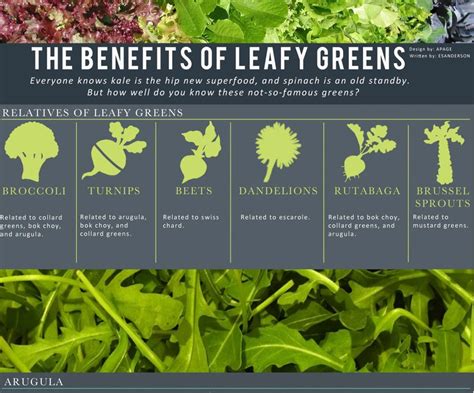 Green Leafy Vegetable Chart