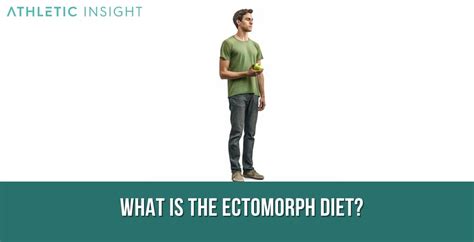 Ectomorph Diet Definition Diet Food List And How Does It Work