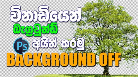 Background Remove - විනාඩියෙන් පසුතලය අහකට | 1 Minute ...