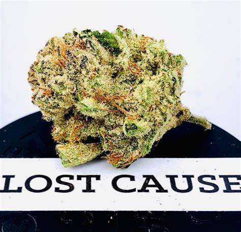 Lost Cause By Strane Maryland Cannabis Reviews
