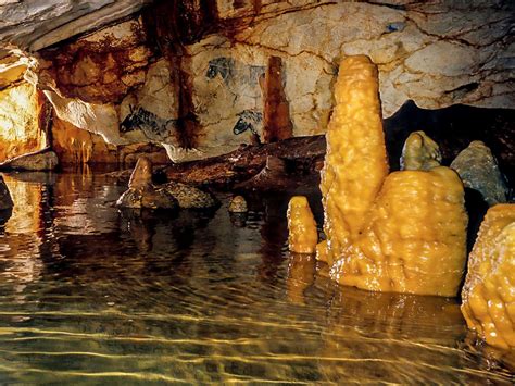 Grotte Cosquer l art pariétal les pieds dans l eau Sciences et Avenir