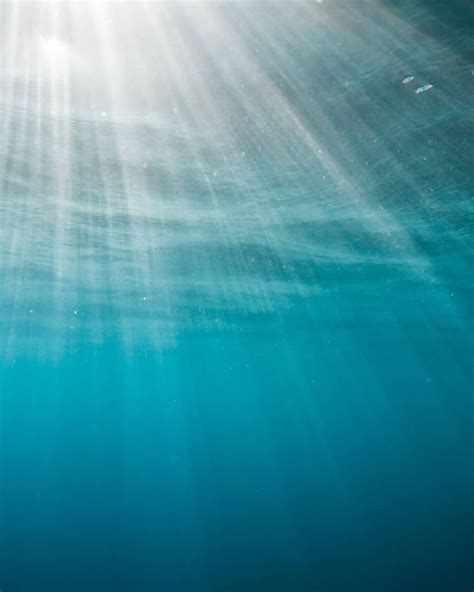 Sun Rays Under The Sea Ocean Sea Underwater From