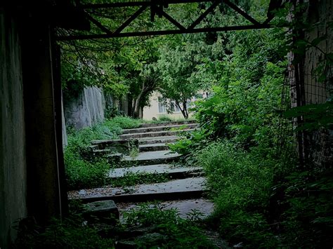 This photo i took reminds me of the best game ever. : r/dyinglight
