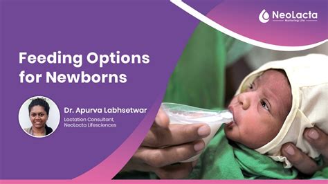 Feeding Options For Newborns Neolacta Lifesciences