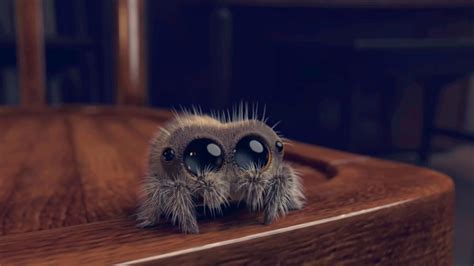 Lucas the spider's animated adventures have amassed more than 60 million views and 1.5 million subscribers on the youtube channel. Lucas the Spider - YouTube