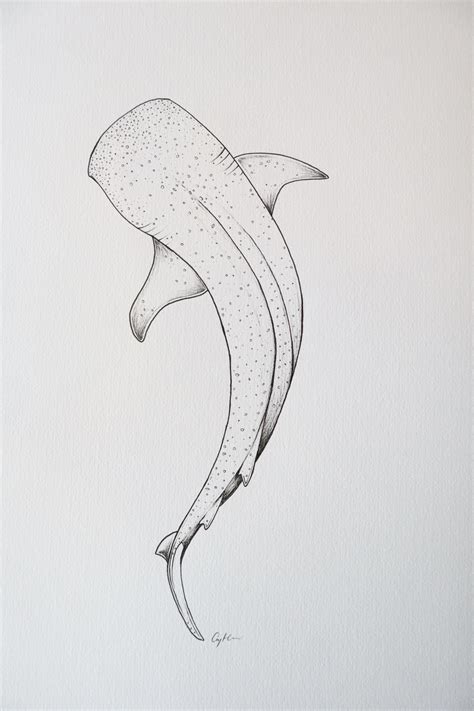 Original Whale Shark Drawing Kids Room Decor Coastal Wall Etsy In