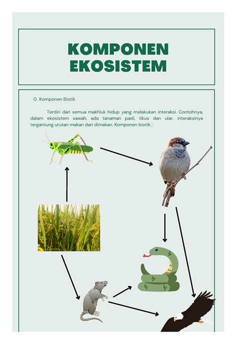 Komponen Ekosistem Komponen Ekosistem Komponen Biotik Terdiri Dari