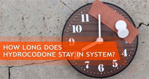 Check spelling or type a new query. How Long Does Hydrocodone Stay In System? Hydrocodone Drug ...