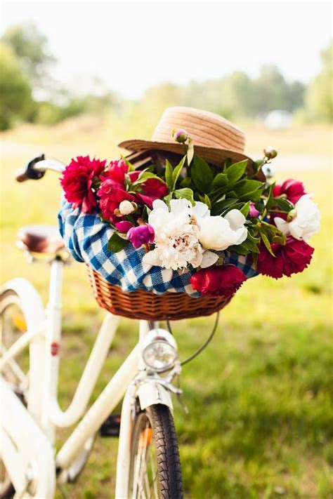 Colorful Flowers In Bicycle Basket Stock Image Image Of Outdoor