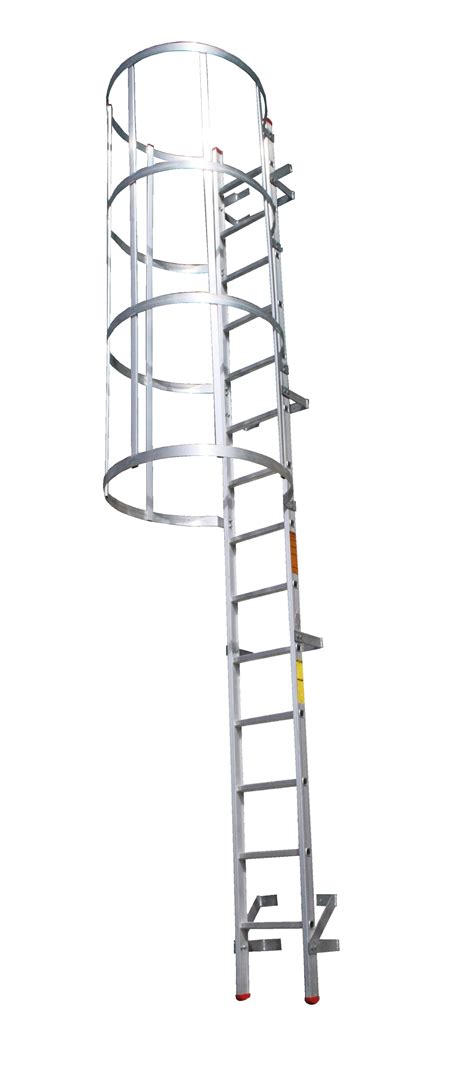 Cat Ladder — Al Jarsh