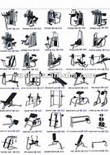 Pictures of Gym Equipment Names