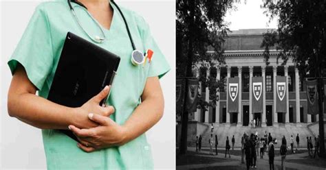 12 Best Undergrad Majors For Medical School Tips For Future Doctors