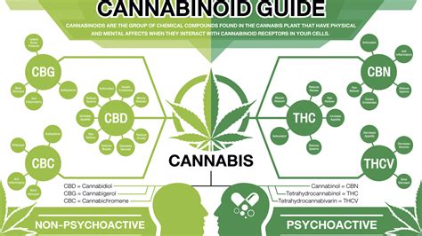 What Is Canabinoid Cbd Questions Answered