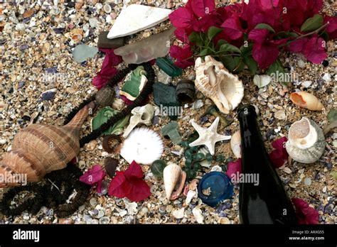 A Collection Of Treasures Found Whilst Beach Combing Stock Photo Alamy