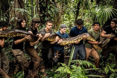 Do Anacondas Think Of Size Before Suffocating Its Prey