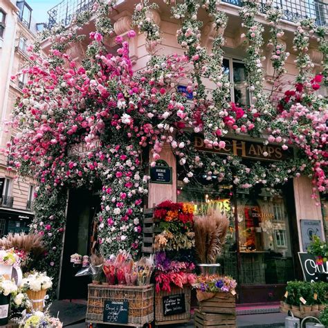 8 Flower Shops In Paris You Dont Want To Miss Article On Thursd