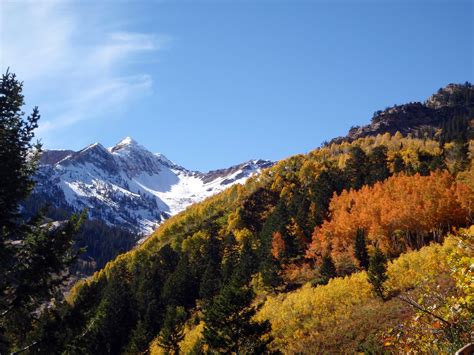 Aaron Wilson Photography Fall In The Wasatch Mountain Range