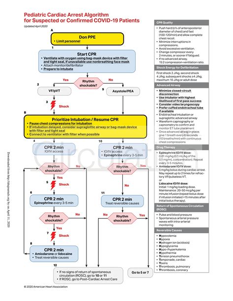 Resuscitation Guidelines For Adults Children And Neonates With