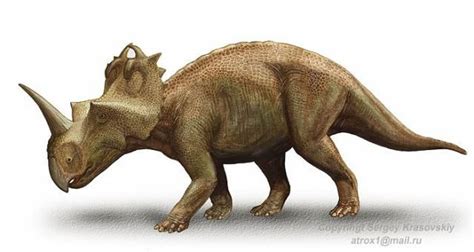 10 Famous Horned Dinosaurs That Werent Triceratops