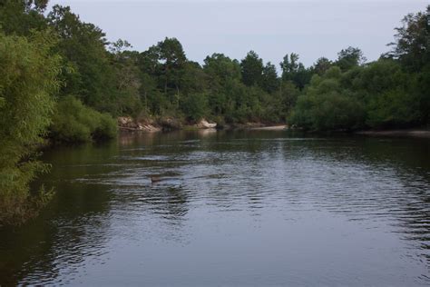 The Ogeechee River Stephen Rahn Flickr