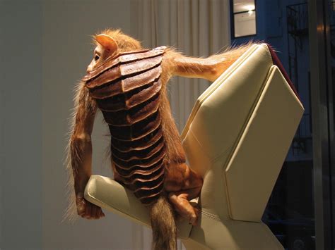 We did not find results for: Sevasblog : things I like: Patricia Piccinini