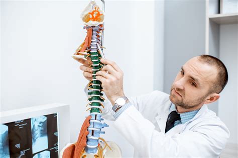 How Can A Chiropractor Help You With Scoliosis Pain Denver