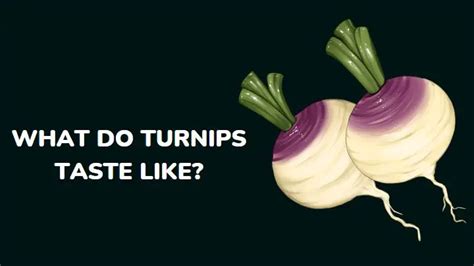 What Do Turnips Taste Like How To Use Them Millenora