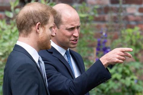 prince harry william reunite at princess diana statue unveiling