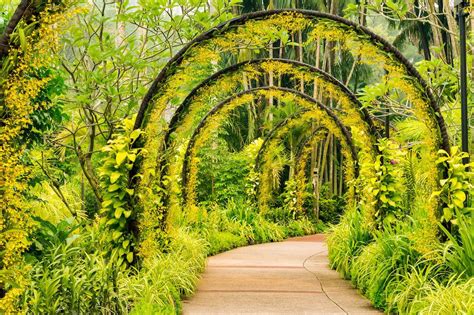 The 7 Most Stunning Orchid Gardens In The World Garden Bridge Garden