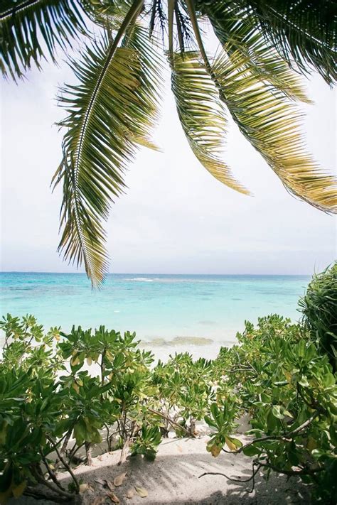 The best places for winter sun 2020 | Winter sun destinations, Winter