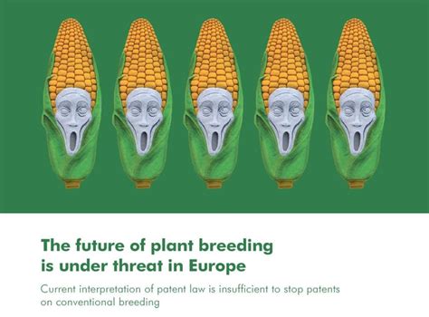 Plant Patents Continue To Threaten Breeding In Europe Natural