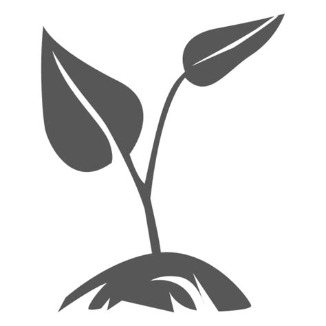 Growing Plant Icon Transparent Png And Svg Vector File