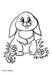 Ecco tanti disegni del coniglietto da scaricare. Disegni di Conigli e Coniglietti da Colorare | Portale Bambini