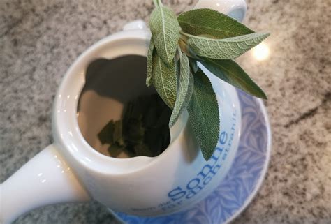 Salbei Tee Rezept