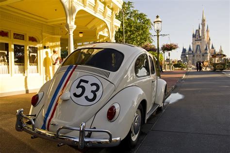 Why Is Herbie Called The Love Bug Celebrity Wiki Informations And Facts