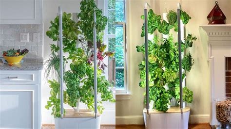 This Vertical Garden Device Makes Indoor Gardening Possible — Reviewed