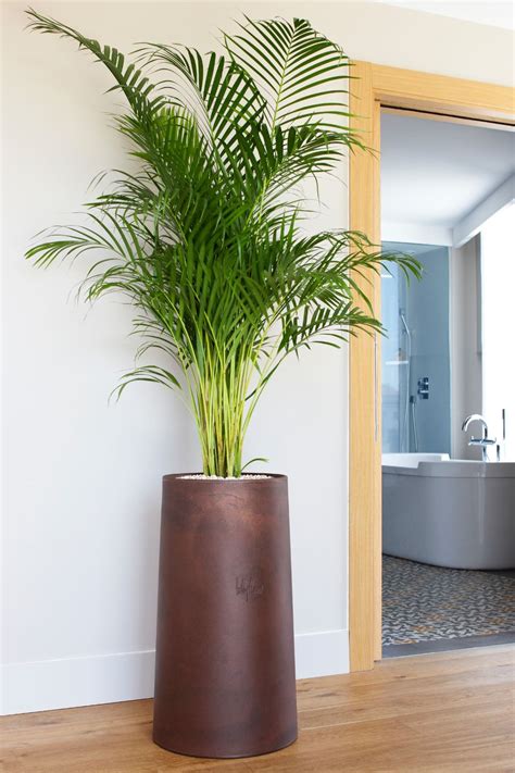 Las plantas son muy importantes en la decoración de interiores. PLANTAS DE INTERIOR ARTIFICIALES | Tendencias Naturales