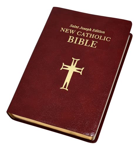 Sēfer hayyāšār), which means the book of the upright or the translation book of the just man is the traditional greek and latin translation, while the transliterated form jasher is found in the king james bible, 1611. Catholic Book Publishing - St. Joseph New Catholic Bible ...