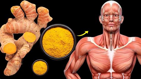 What Happens To Your Body When You Take Turmeric Everyday YouTube