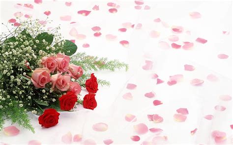 Flowers Roses Petals Bouquet Romance Hd Wallpaper Pxfuel