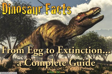 50 Mind Blowing Facts About Dinosaurs In 2023 Atonce