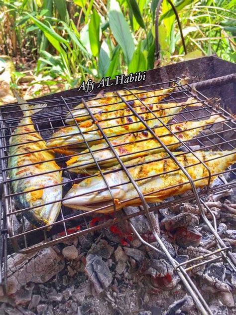 Hujan emas di negeri orang, hujan batu di negeri sendiri, lebih baik di negeri sendiri. Resipi Ikan Percik Warisan Keluarga. Wanita Ni Kongsi ...