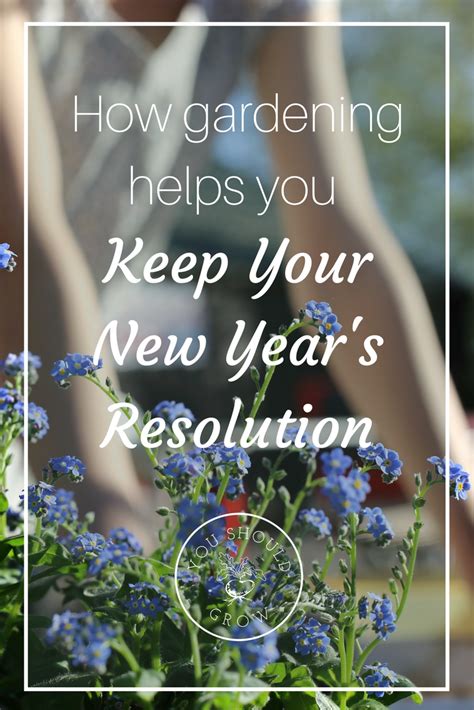 12 Ways Gardening Helps You Keep Your New Years Resolution Garden