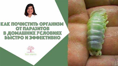Чем можно очистить организм и похудеть