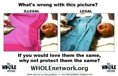 Wholenetwork Org Give Them A Voice Is An Advocacy Foundation Noworkingtitle Org Natural
