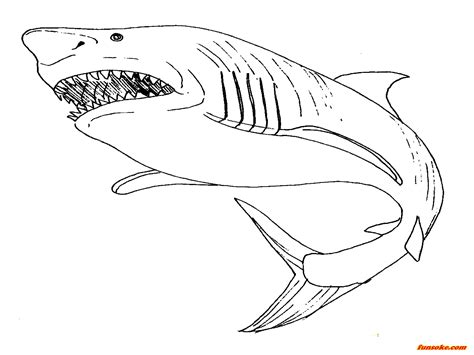 Megalodon Coloring Pages To Print - Funsoke - Coloring Home