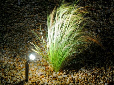25 das beste von strahler garten inspirierend from garten led strahler. LED Gartenbeleuchtung | Galabau Mähler | Gartenbeleuchtung