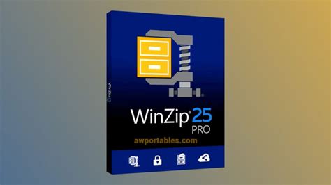 Winzip Pro 25 Portable En Español Ultima Versión 2021